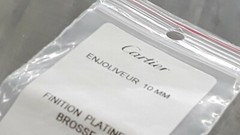 1 pair Cartier Enjoliveur 10 mm Finition Platine Brosse Silver screws Eyeglasses