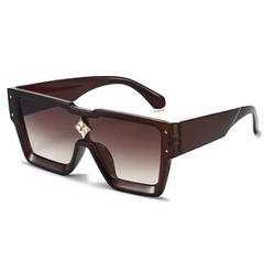 Brand Luxury Sunglasses Fashion Style Millionaire Designer Popular Celebrity NYC