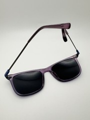 SUNGLASSES HANG TEN HT41C