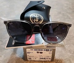 🔥 Genuine Ray-Ban Erika Unisex Sunglasses RB4171 65138G Transparent GRAY 54mm