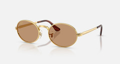 RB3931 BY A$AP ROCKY (FRAME Polished Arista Gold) (LENSES Brown)