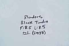 Blenders Canyon Black Tundra Sunglasses Full Rim Polarized 100% UV Protection