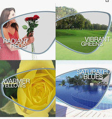 Polaryte High Definition Sunglasses Polarized with 100% UV Protection BLACK