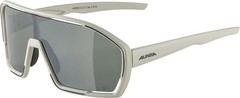 ALPINA Unisex – Adult, BONFIRE Q-LITE sports glasses, cool-grey matt, One Size