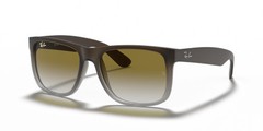 Ray-Ban RB4165 854/7Z 55mm Brown Sunglasses
