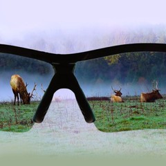 As Seen On TV BattleVision HD Polarized Sunglasses 2 Pairs, Eliminate Glare