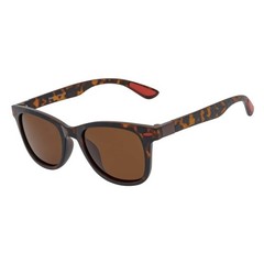WAYSPORT – Polarized Horn Rimmed Matte Brown Sunglasses Brown Lens