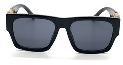 SQUARE GOLD LION HEAD MEDALLION SUNGLASSES CLASSIC CASUAL RETRO DESIGNER SHADES