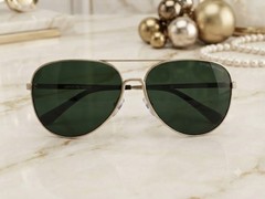 Emporio Armani Unisex Sunglasses Matte Pale Gold Metal Aviator 0EA2149D 300271