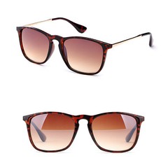 Key Hole Horned Rim Sunglasses Classic Lens Vintage Style Metal Temple