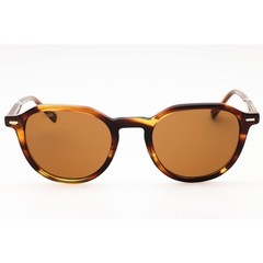Zeiss Men’s Sunglasses Striped Brown Acetate Panthos Full Rim Frame ZS24543S 237