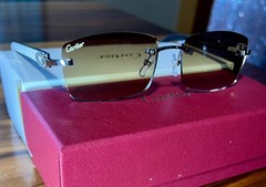 CAR TIER BUFFALO SUNGLASSES