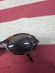 Bolle Tango Tortoise Sunglasses Oval Havana Tortoise Shell
