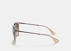 Ray-Ban Erika RB4171 Translucent Light Brown Gradient Sunglasses