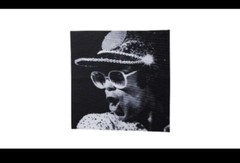 Elton John Limited Edition Sunglasses #/600 + Case Photo Walmart 2022 *IN HAND*