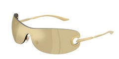 DOLCE N GABBANA DG2308 12246E Matt Gold Brown Mirror Gold 41mm Unisex Sunglasses