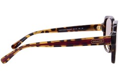 Coach C7989 HC8335U 512013 Sunglasses Women’s Dark Tortoise/Brown Gradient 53mm
