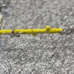 NEW Gentle Monster Veggie Collection Silver Yellow