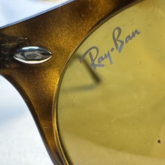 Ray-Ban RB 2180 710/73 Sunglasses Gloss/Havana Brown Tinted 49mm w/case NEW