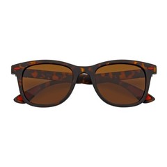 WAYSPORT – Polarized Horn Rimmed Matte Brown Sunglasses Brown Lens