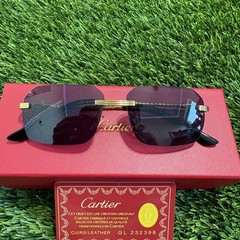 Black Lenses Gold Spiral Rim Glasses