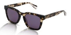 AllSaints Sunglasses Phoenix ALS5005 178 Milky Light Tortoise/Grey
