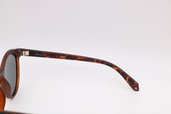 Polaroid Pld6034/S N9Pmatt Havana/Brown Round Polarized Sunglasses 51-21-145