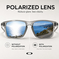 NEW Oakley Holbrook Polarized Sunglasses Black Frame Sliver Logo
