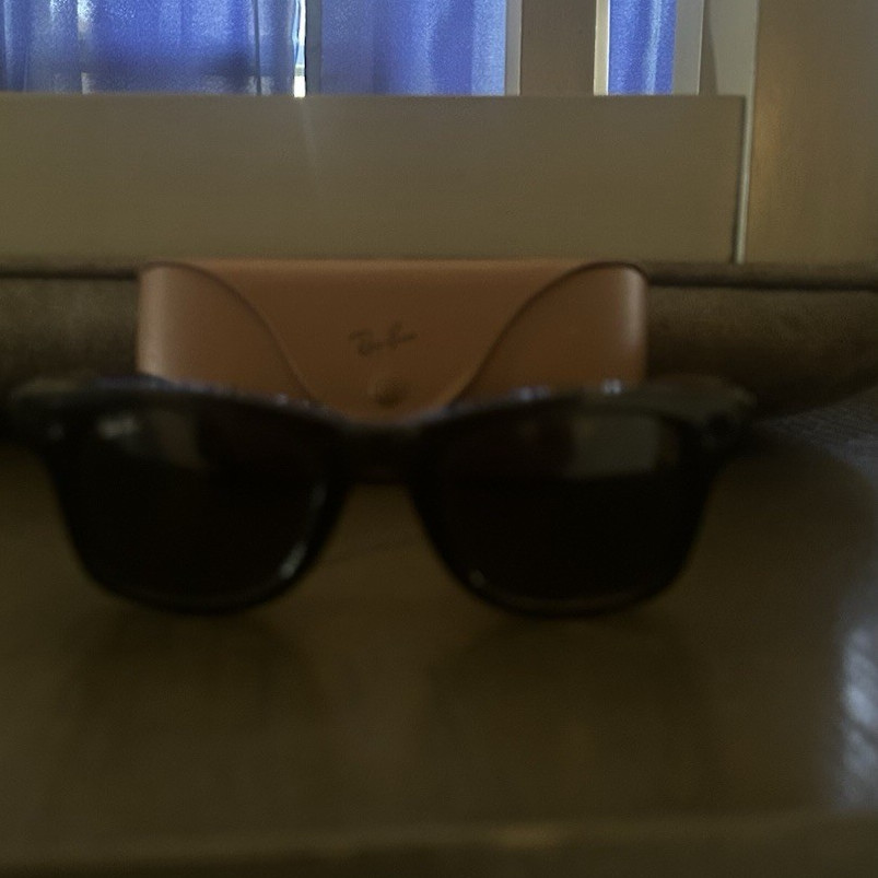 Ray-Ban Wayfarer Sunglasses Black Frame/Black Tinted Lenses Plastic w/ Case