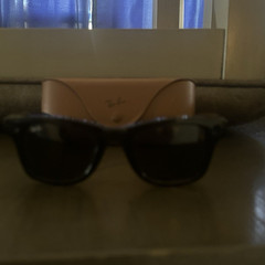 Ray-Ban Wayfarer Sunglasses Black Frame/Black Tinted Lenses Plastic w/ Case