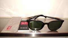 Ray-Ban Unisex Elliott RB2197F Designer Sunglasses Shiny Blk Frame/Green Glasses