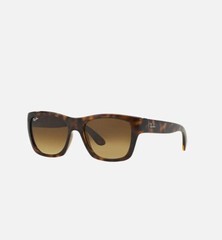 Ray-Ban RB4194Tortoise Shell Unisex 50mm Sunglasses + Case