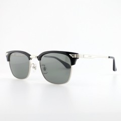 AVIREX Sunglasses Silver Black Polarized Light Green Smoke