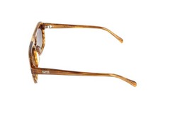 WMP Sydney Brown Aviator Polarized Sunglasses 54-20-144