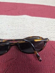 Bolle Tango Tortoise Sunglasses Oval Havana Tortoise Shell