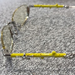 NEW Gentle Monster Veggie Collection Silver Yellow