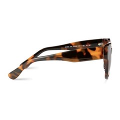 1 Unit New Harper•Roe Brown Demi Sunglasses 51-20-145 #656