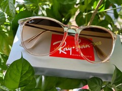 Ray-Ban Erika RB4171 6514/13 Transparent Brown Gradient Sunglasses 54mm UV400 3N