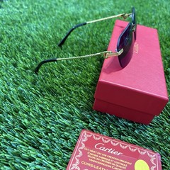 Black Lenses Gold Spiral Rim Glasses