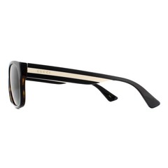 Gucci Sunglasses GG0341S 003 Havana with Black and Beige Stripe Green
