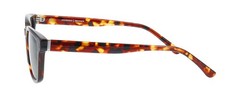 ProDesign Denmark HAZE 1 S / 5522 Havana Medium Shiny SUNGLASSES – 53-21-150
