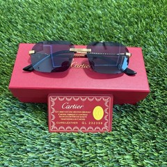 Black Lenses Gold Spiral Rim Glasses