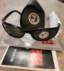 Ray-Ban Polarized Small Predator Active Lifestyle Sunglasses RB4115 601/9A Wrap