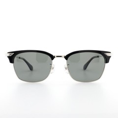 AVIREX Sunglasses Silver Black Polarized Light Green Smoke