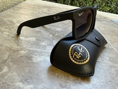 Ray-Ban Justin Sunglasses Matte Black Polarized Sunglasses 55 mm RB4165