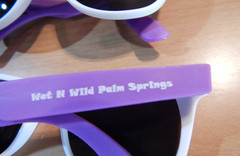 WET N WILD PALM SPRINGS PLASTIC SUNGLASSES TOURIST FUN DESIGN PURPLE WHITE NEW