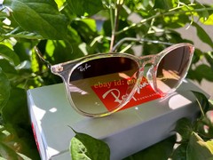 Ray-Ban Erika RB4171 6514/13 Transparent Brown Gradient Sunglasses 54mm UV400 3N