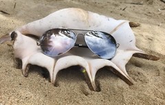 Aviator “SILVER STAR” Men Guy Mirror Reflective Metal Sunglasses Aviator Shadz