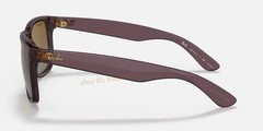 Ray-Ban Justin RB4165 Sunglasses Transparent Dark Brown Polarized Gradient 54MM