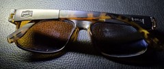 Pugs, Unisex Adult Tortoise Shell Polarized Square Sunglasses W/ Slight Wrap T1